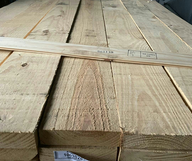 松溪阿根廷松木